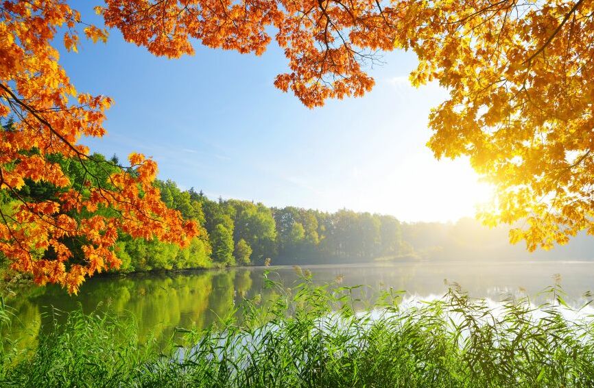 Картина на холсте Природа, арт hd1589901